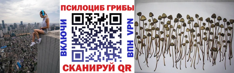 MEGA ссылки Фролово Псилоцибиновые грибы Magic Shrooms