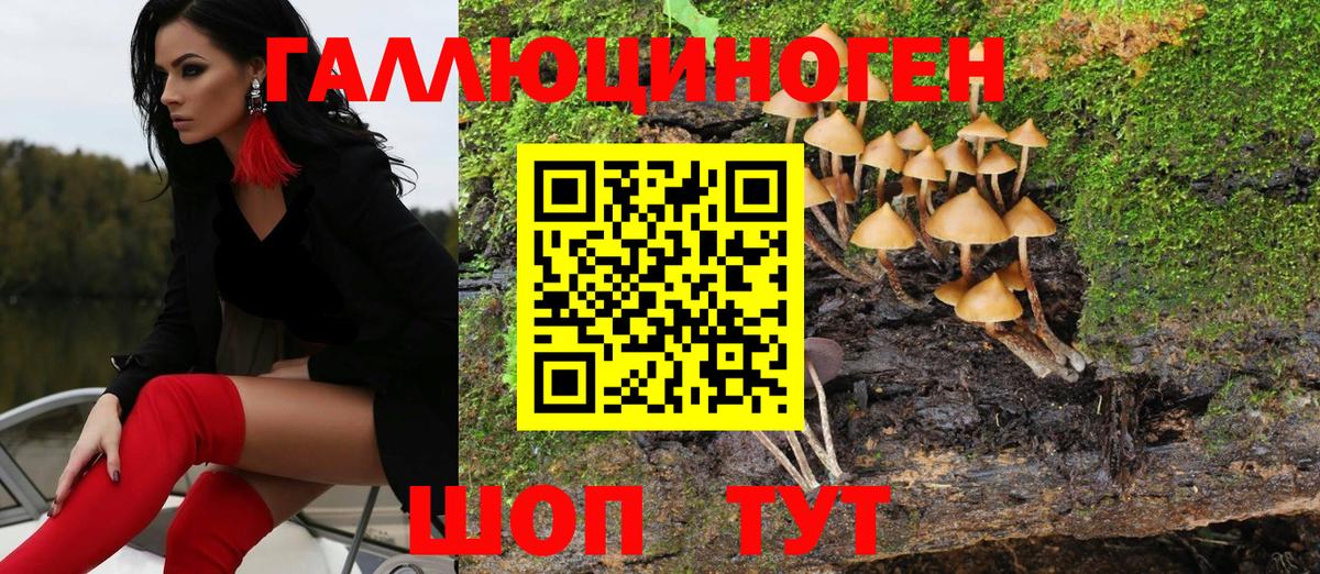 Галлюциногенные грибы Psilocybe  Фролово  Галлюциногенные грибы MAGIC MUSHROOMS 