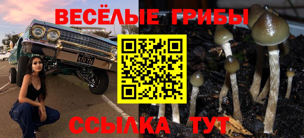 Псилоцибиновые грибы ЛСД Фролово