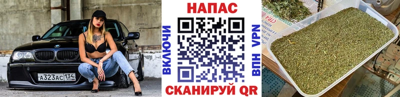 MEGA tor  Фролово  Бошки Шишки план 